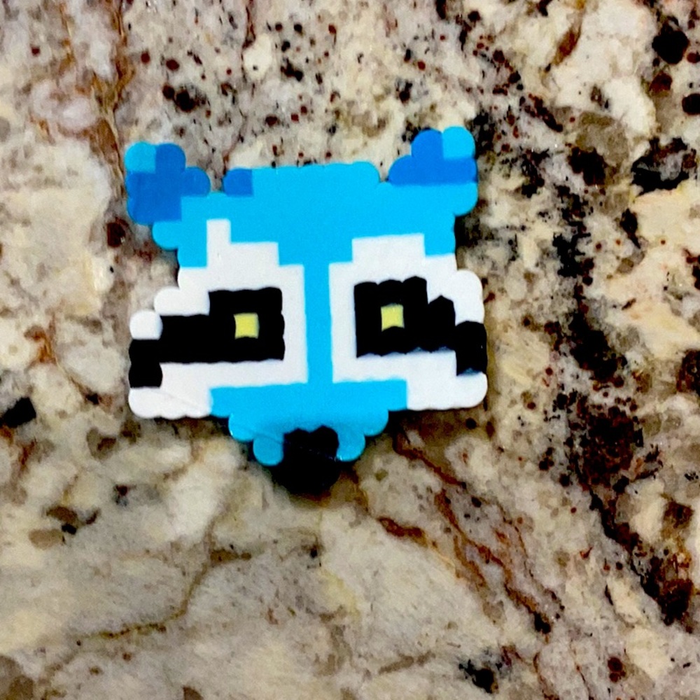 Raccoon wall art!